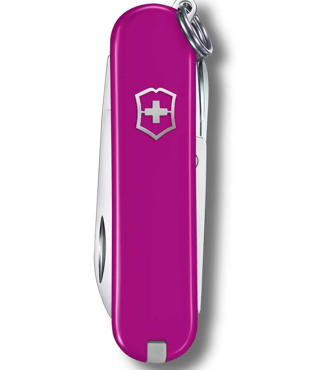 Canivete Victorinox Classic SD Colors - Tasty Grape 0.6223.52G *7 Funções