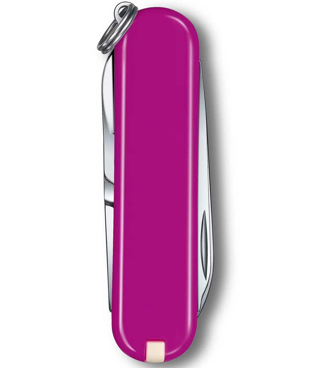 Canivete Victorinox Classic SD Colors - Tasty Grape 0.6223.52G *7 Funções