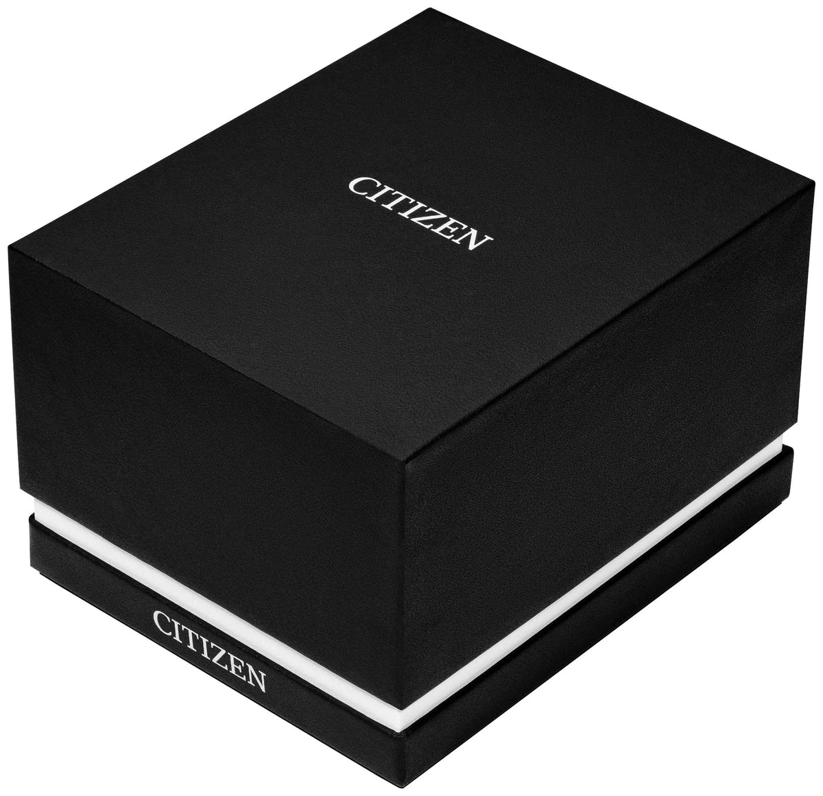 Relógio CITIZEN Eco-Drive Rolan AW2110-14Z