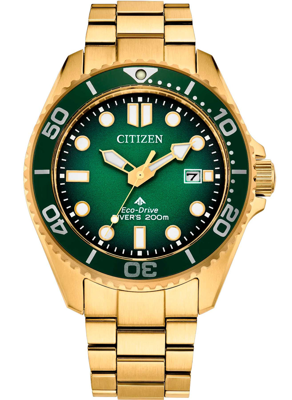 Relógio CITIZEN Eco-Drive Marine Promaster Diver BN0262-59W
