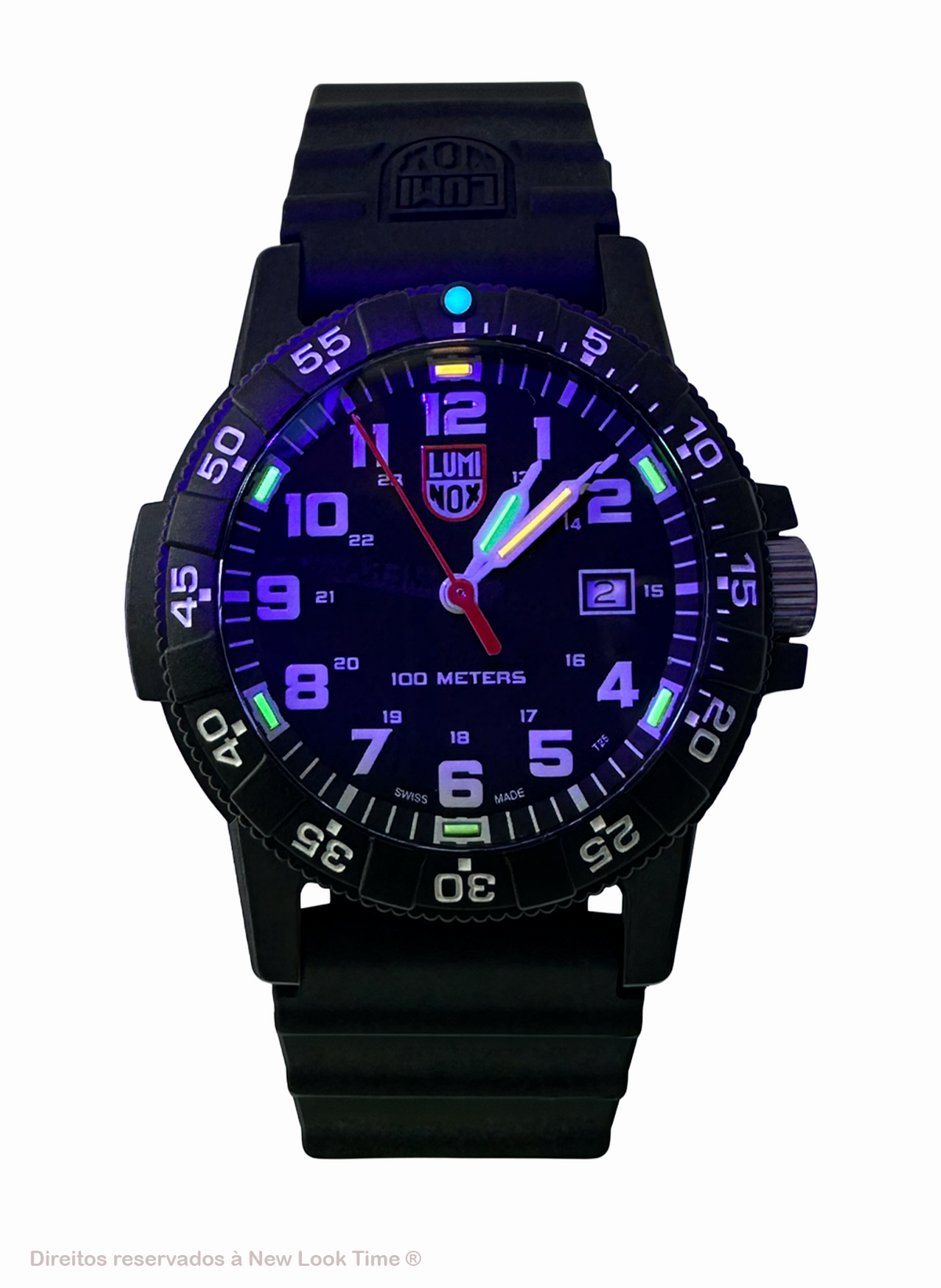 RELÓGIO LUMINOX LEATHERBACK SEA TURTLE GIANT 0321 *44mm *Swiss Made